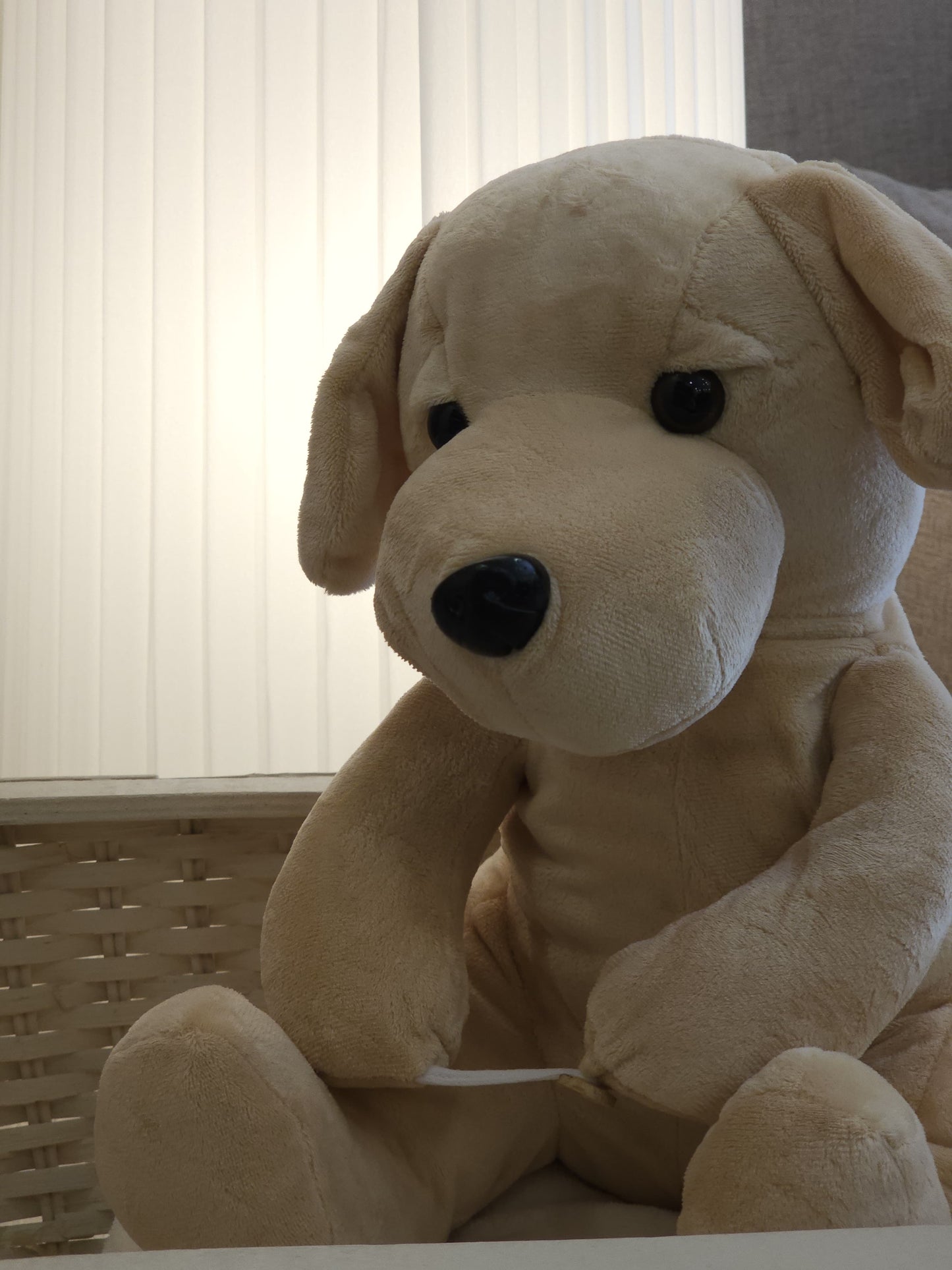 PELUCHE CON PLAID PERSONALIZZABILE