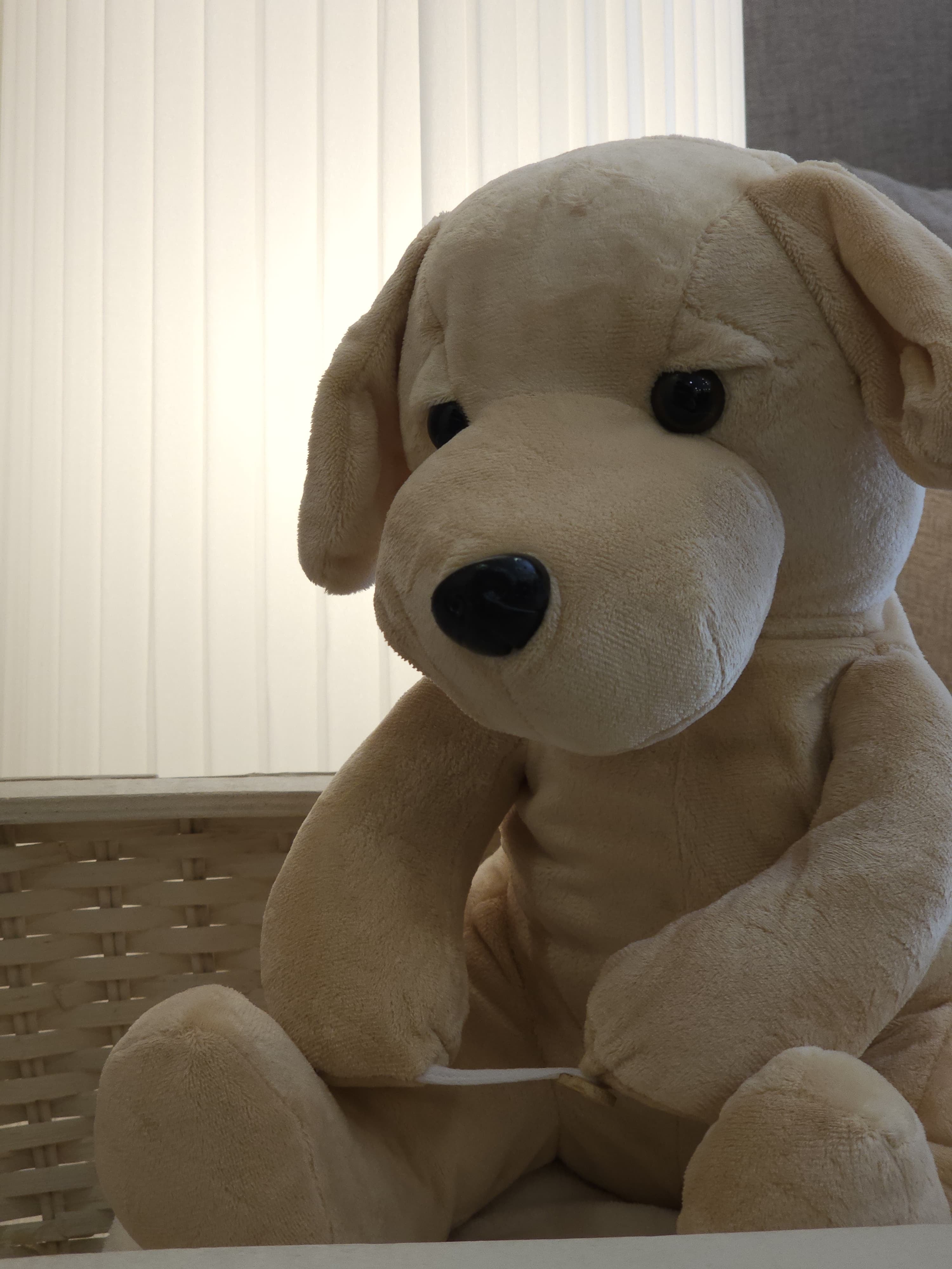 PELUCHE CON PLAID PERSONALIZZABILE